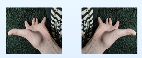 hand positioning for su jok zone identification Hand Positioning for Su Jok Zone Identification